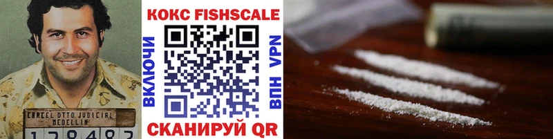 COCAIN FishScale  omg как войти  Стерлитамак  купить наркотик 