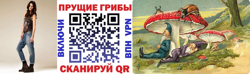 Галлюциногенные грибы Cubensis купить Стерлитамак